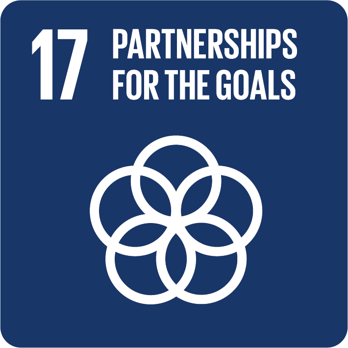 SDG17